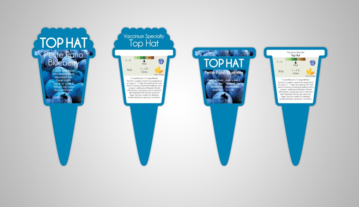 blueberry top hat tags